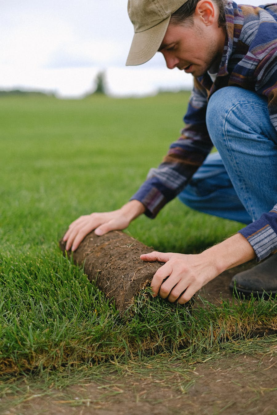 Fresh sod roll being installed